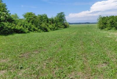 De vânzare teren intravilan – Belciug, adiacent Drăgănești - 1