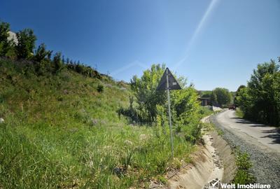 Teren intravilan autorizat, 780 mp, zona Sun Garden – Baciu. Proiect casa inclus - 1