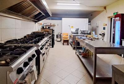Pensiune deosebita, locuri de cazare, restaurant, pizzerie si spatii comerciale - 14