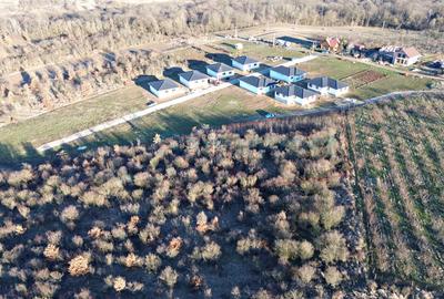 Teren intravilan cu dublu front stradal, de vanzare,Paleu - 3