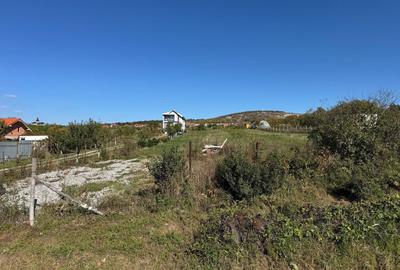 Teren intravilan in localitatea Betfia - 2