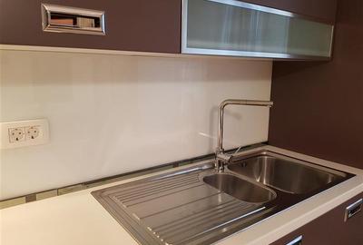 Ambasada SUA. Apartament 300mp, terasa 100mp, garaj. - 10