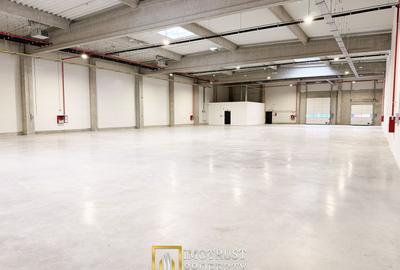 Hala de inchiriat Arad A1 – spațiu industrial modern 2.349 mp - 3