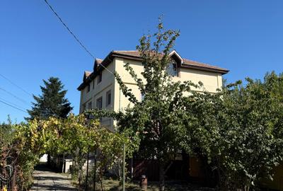 Spațiu Comercial 604 mp pe Teren 1.580 mp | Investiție Excelentă în Zona Pallady - 2