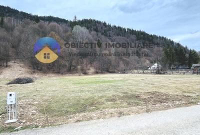 TEREN zona de munte TARCAU - 3