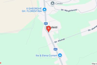 Ocazie! Proprietar vând casă cu 7 camere în Diculești, teren 2267 mp - 3