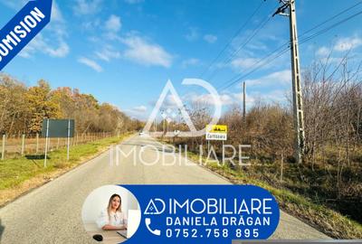 Teren intravilan 1160 mp – Ideal pentru investiție sau locuință - 1