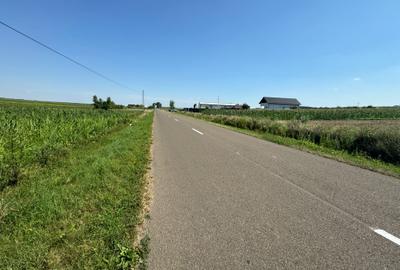 Teren Construcții intravilan de 5280 mp, în Central