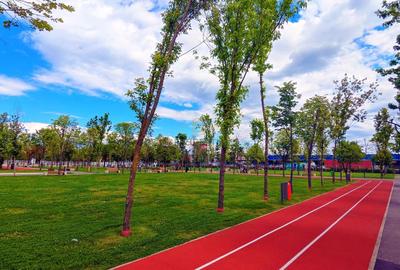 Apartament cu 2 camere de vanzare, tip studio, acces metrou, Sector 4 - 9