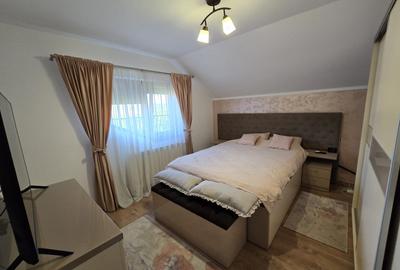 Casa de Vis, Serbanesti - 17