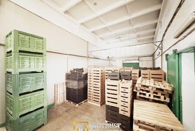 Hala industriala de vanzare Arad – 589 mp - 4