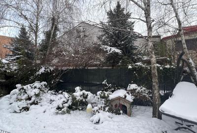 Vila Damaroaia - langa lacul Grivita - 14