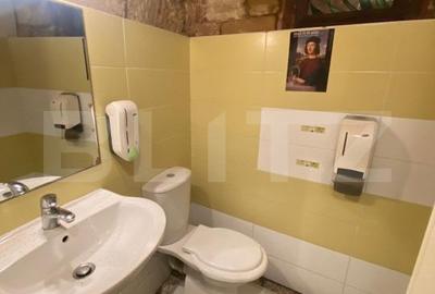 Casa cu 8 camere, 315 mp utili, pentru clinica, birou sau local, ultracentral! - 10
