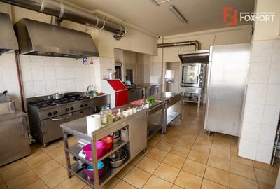 Hotel Miky Arad de vanzare bussiness operational functional - 38 camere - 41