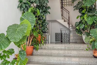 APARTAMENT 3 CAMERE JIULUI + TEREN (4 LOCURI DE PARCARE EXTERIOARE) - 6