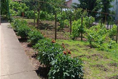 Copou Vila P+M Su.165mp Teren 1000mp vecin cu limita Gradina Botanica - 1