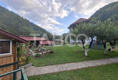 Spatiu de vanzare in Valea Macesului judel Valcea iesire la Lotru - 28