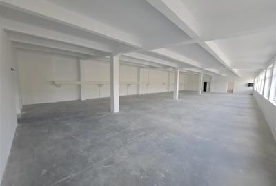 Spatiu industrial, 439 mp utili, situat in zona Taietura Turcului! - 3