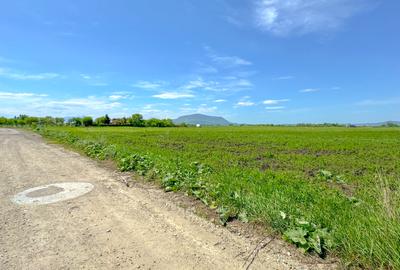 Teren intravilan, 1.7 hectare, Stupini Strada Barsei