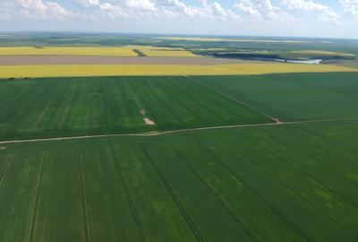 🌿Retras-Teren intravilan 4750 mp cu PUZ aprobat | 15 km A0 | POT 60% | CUT 1.8 - 4