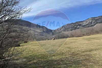 Teren intravilan 1.271 mp – Izvoarele, jud. Alba - 1