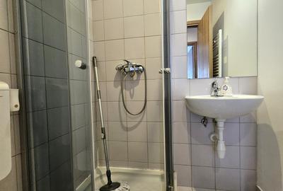 Inchiriere apartament 3 camere zona Militari / Pacii / Ten Blocks / mobilat - 10