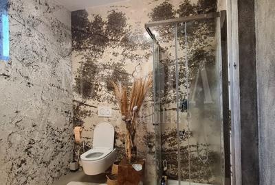 Casa 5 camere de vanzare in Andrei Muresanu, Cluj Napoca - 6