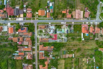 Casă spațioasă cu livadă în Buziaș - 19