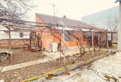 Casa “la gri” cu gradina, zona Calea Aurel Vlaicu - Bujac - 6