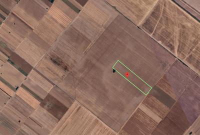 Teren agricol extravilan de 14345 mp, în Berceni