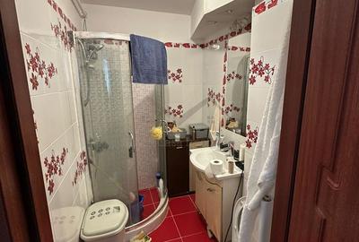 Apartament 2 camere Alexandru cel Bun-parter inalt - 5