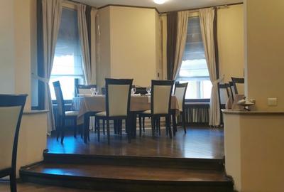 Cismigiu, priveliste superba,  vila consolidata si renovata total. - 12