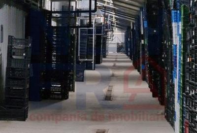 DE VANZARE Platforma cu  2 hale de 2074 mp amplasate pe un teren de 8762 mp - 7