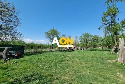 De vanzare 1365 teren intravilan, cu utilitati, Oarda de Sus - 2