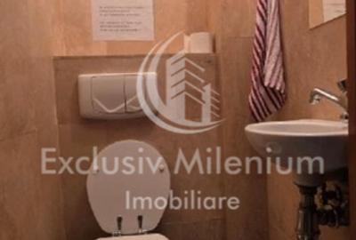 Vila/Casa Piata Alba Iulia - Birouri  / Decebal - 14