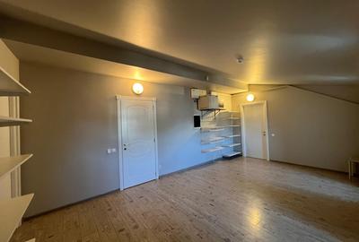 VILA DEOSEBITA / SPATII GENEROASE / CURTE PROPRIE - 43