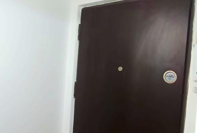 Vanzare 2 camere decomandate-zona Teiul Doamnei-Parc Tei - 8
