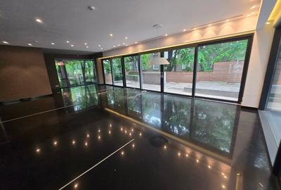 Showroom stradal Floreasca - 16