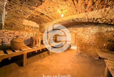 Casă individuală - Selimbar - Teren 675Mp - Garaj 68Mp - Demisol - 34