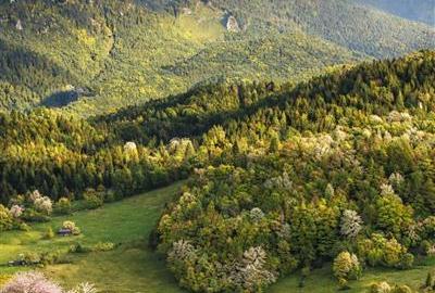 7.000 mp, pozitie spectaculoasa, fara vecini, Fundatica, Brasov - 7