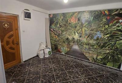Apartament 3 camere 2 bai Zimbru- Alexandru - 10