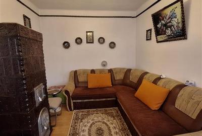 Bocsa Vasiova, Casa cocheta pentru familie, cu Gradina. - 3