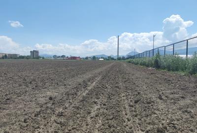 Teren intravilan cu potențial excelent în Triaj, Narciselor, pentru dezvoltatori - 2