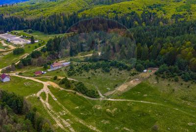 Teren intravilan de 1 ha cu vedere la munte – Zărnești, Brebina - 10