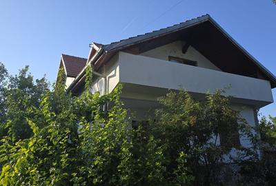 Casă individuală P+E + 2 anexe, teren 3.052 mp – Dârvări, jud. Călărași - 4