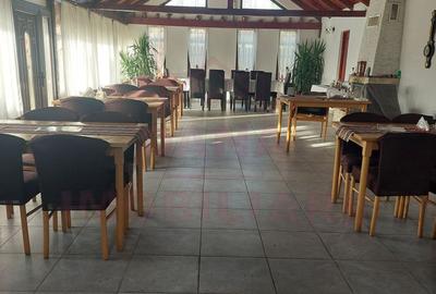 RESTAURANT DE VÂNZARE-COM. OBREJA\SAT IAZ\CARAȘ SEVERIN - 20