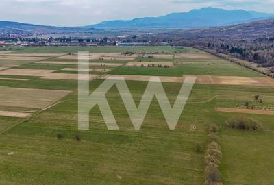 Oportunitate de investitie în Zarnesti I Teren intravilan 8557 mp - 9