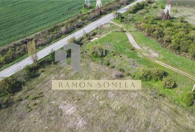 Teren intravilan industrial 16142 mp, Centura de Est, Ploiesti - 5