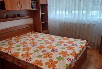 Abator, Sos. Mangaliei, 2 decomandate, 52 mp, mobilat si utilat, gaze, 400 Euro - 6