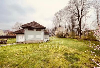 Casa potential turistic si comercial -zona Varfurile - 23